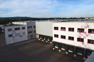 Gewerbeimmobilie mieten in 55232 Alzey, Attraktive Mieten - Logistikhalle in Bingen - PROVISIONSFREI