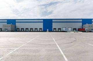 Gewerbeimmobilie mieten in 34582 Borken, Effizienter Bestand - Lagerhalle in Borken - ab Q1 2026