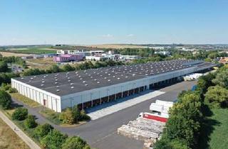 Gewerbeimmobilie mieten in 55120 Mombach, PROVISIONSFREI - Lager- und Logistikfläche bei Mainz - 30.000 m²