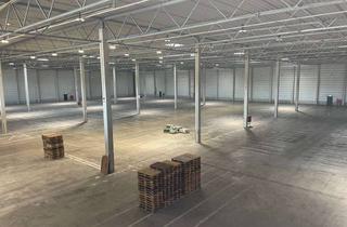 Gewerbeimmobilie mieten in 63741 Nilkheim, Neubau: Lager- & Logistikhalle direkt an der A45 - 9.000 m² - AB SOFORT