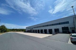 Gewerbeimmobilie mieten in 63741 Nilkheim, Neubau: Lager- & Logistikhalle direkt an der A45 - Rampen & ebenerdig - AB SOFORT