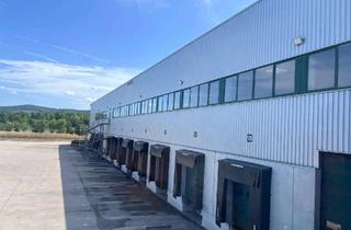 Gewerbeimmobilie mieten in 63755 Alzenau, Neubau: Lager- & Logistikhalle direkt an der A45 - 9.000 m² - AB SOFORT