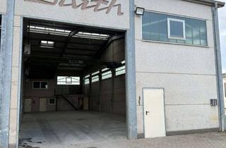 Büro zu mieten in Rosengarten 14, 53879 Euskirchen, Halle mit Büro und Sanitärraum