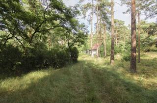 Anlageobjekt in Tannenweg 14, 15754 Heidesee, Familienglück in Heidesee: Über 2.000 m² Bauland mit Ferienhaus in Heidesee (bereits geteilt!)