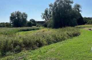 Grundstück zu kaufen in Blankenseer Straße, 17268 Mittenwalde, Naturverbundenheit in der Uckermark mit zus. 55000 QM
