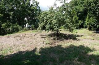 Grundstück zu kaufen in 78355 Hohenfels, Baugrundstück in Hohenfels-Mindersdorf