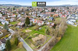 Grundstück zu kaufen in 88271 Wilhelmsdorf, Erschlossenes Baugrundstück mit ca. 808 m² – ideal für Ihr zukünftiges Zuhause in Wilhelmsdorf