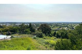 Grundstück zu kaufen in 69469 Weinheim, Baulücke Weinheim Nordstadt oberhalb des Römerlochs