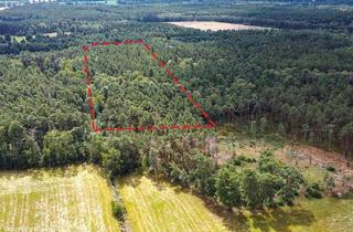 Grundstück zu kaufen in 02943 Boxberg, 2,3 ha voll bestockte Waldfläche in Sachsen