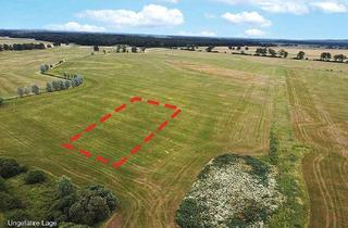 Grundstück zu kaufen in 39539 Havelberg, 0,6 ha Landwirtschaftsfläche im Havelland
