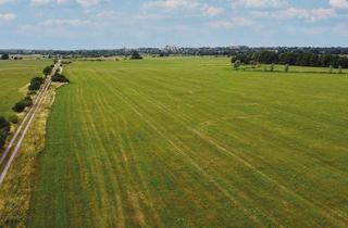 Grundstück zu kaufen in 39539 Havelberg, 0,6 ha Landwirtschaftsfläche im Havelland