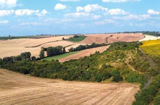 Grundstück zu kaufen in 06198 Zappendorf, 3,8 ha Landwirtschaftsflächen /Unland