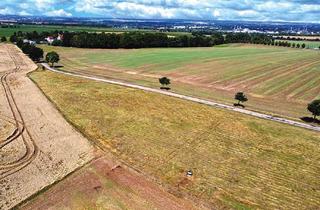 Grundstück zu kaufen in 06729 Elsteraue, Regelmäßig geschnittenes Grundstück umgeben von Landwirtschaftsflächen