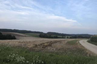 Gewerbeimmobilie kaufen in Am Osterberg, 84072 Au, 4,418 ha landwirtschaftliche Fläche oder Öko-Ausgleichsfläche in Au-Hemhausen