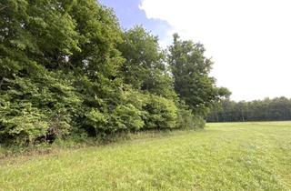 Gewerbeimmobilie kaufen in 83539 Pfaffing, Waldgrundstück mit gutem Bestand