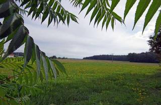 Einfamilienhaus kaufen in 90574 Roßtal, Roßtal-S-Bahn Nähe: Einfamilienhaus mit PV, Solar, Doppelgarage und Traumblick auf Felder und Wiesen