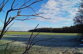 Einfamilienhaus kaufen in 90574 Roßtal, Roßtal-S-Bahn Nähe: Einfamilienhaus mit PV, Solar, Doppelgarage und Traumblick auf Felder und Wiesen