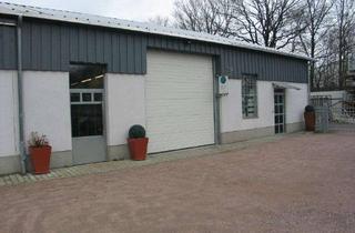 Büro zu mieten in 24558 Henstedt-Ulzburg, Beheizbare Halle mit Rolltor und Büro – gut belichtet und modern!