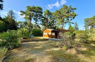 Grundstück zu kaufen in 15741 Bestensee, Baugrundstück in traumhafter Lage - bauträgerfrei * See- und Waldnähe * Bestensee/Pätz!