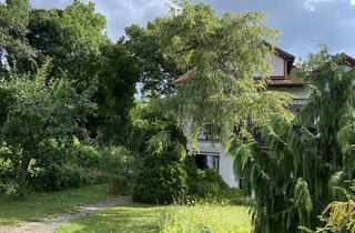 Haus mieten in 89275 Elchingen, Wohnqualität trifft Lebensfreude