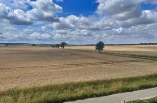Haus kaufen in 31174 Schellerten, Schellerten-Dinklar: Gepflegtes Zweifamilienhaus mit unverbaubarem Blick