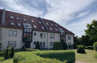 Wohnung kaufen in Birkenhainer Ring 29 c, 14979 Großbeeren, Top-modernisierte 2 Zimmer mit TG-Stellplatz - vermietet-