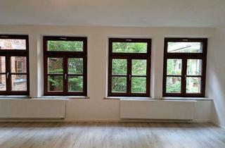 Wohnung mieten in Petzoltstraße, 90443 Gostenhof, Schöne, neu renovierte 1-Zimmer-Wohnung in der Petzoltstraße 6, Nürnberg