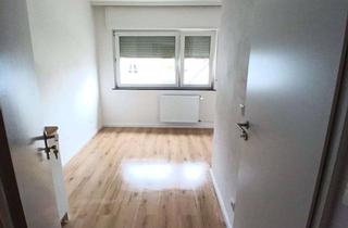 Wohnung mieten in An Der Siedlung 00, 65451 Kelsterbach, Frisch renovierte 1-Zimmer Wohnung