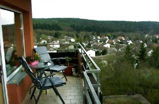 Wohnung mieten in 67304 Eisenberg (Pfalz), Eisenberg/Steinborn, 2-ZKB-ETW, Balkon/Traumlage
