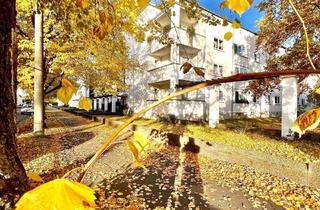 Wohnung mieten in Elsa-Brändström-Straße 182a, 06110 Gesundbrunnen, gemütliche 2 Raum-Wohnung in zentraler Lage