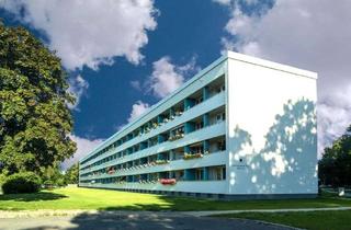 Wohnung mieten in Kurt-Schumacher-Ring 204, 38444 Detmerode, Idyllisches Wohnen: Modernisierte Wohnung mit Loggia
