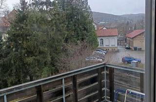 Wohnung mieten in 38667 Bad Harzburg, Eine 1-Zimmer Wohnung Mitten im Zentrum von Bad Harzburg