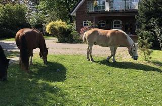 Einfamilienhaus kaufen in 25923 Braderup, schönes Einfamilienhaus mit Pferdehaltung,Weiden und Stallungen