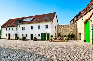 Doppelhaushälfte kaufen in 01445 Radebeul, Vom Sanierungsobjekt zum Traumhaus