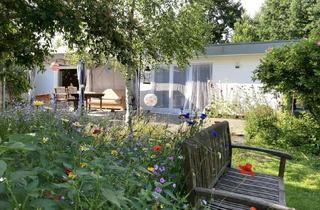 Haus kaufen in 24616 Hasenkrug, NATURNAHES WOHNEN, FRECH + MODERN, FÜR MENSCH + TIER!
