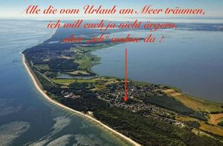 Haus kaufen in 17459 Zempin, Insel Usedom EFH mit Gewerbe-Nebengebäude, wohnen wo andere Urlaub machen