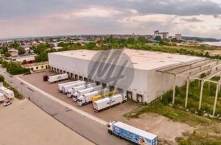 Büro zu mieten in 64625 Bensheim, SCHNELL VERFÜGBAR ✓ 24/7 ✓ Lager-/Logistik (6.600 m²) mit Büro (300 m²) & Freilager (3.500 m²)