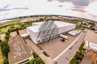 Büro zu mieten in 64579 Gernsheim, SCHNELL VERFÜGBAR ✓ 24/7 ✓ Lager-/Logistik (6.600 m²) mit Büro (300 m²) & Freilager (3.500 m²)
