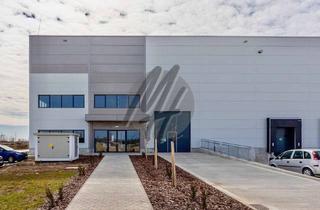 Gewerbeimmobilie kaufen in 64832 Babenhausen, NEUBAU ✓ Modernes Gewerbeobjekt mit Lager-/Fertigung (1.000 m²) & Büro-/Sozial (400 m²)