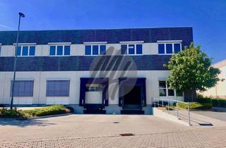Büro zu mieten in 65830 Kriftel, RAMPE + EBEN ✓ Lager-/Logistik (3.000 m²) & Büro (500 m²) zu vermieten
