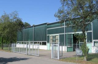 Gewerbeimmobilie mieten in Im Lehen, 88097 Eriskirch, Lager-/ Produktionshalle (Teilfläche) in Eriskirch zu vermieten