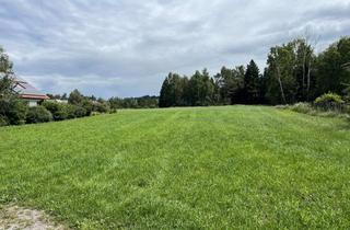 Grundstück zu kaufen in 82386 Oberhausen, Ruhe und Natur: Baugrundstück mit unverbautem Blick ins Grüne