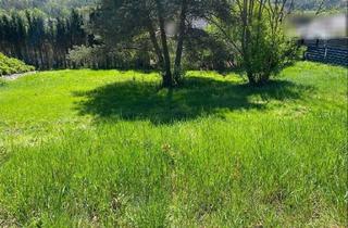 Grundstück zu kaufen in 66978 Merzalben, Sonnig, gute Umgebung ...