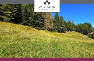 Grundstück zu kaufen in 82499 Wallgau, Wallgau: Grundstück - ca. 2.917 m² - mit Altbestand in naturnaher Lage mit hohem Freizeitwert!