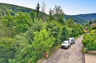Grundstück zu kaufen in 69250 Schönau, Hanglagengrundstück in Schönau – Ihr neues Zuhause wartet!
