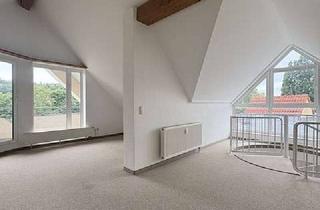 Wohnung mieten in Röntgenstraße 35, WE 19, 08529 Reusa, Alles Andere als Standard - Wohnen über den Dächern von Plauen
