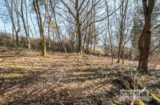 Grundstück zu kaufen in 66539 Neunkirchen, GEFRAGT - Baugrundstück in begehrter Lage von Kohlhof!