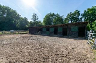 Einfamilienhaus kaufen in 74238 Krautheim, Pferdeliebhaber aufgepasst. Einfamilienhaus mit Reitanlage und Pferdeboxen
