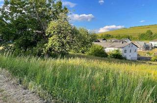 Grundstück zu kaufen in 54597 Burbach, Burbach - Grundstück zu verkaufen in Burbach 22.000,00 ? 489 m²