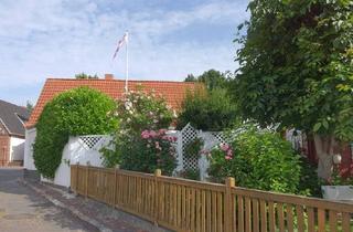 Einfamilienhaus kaufen in 25704 Meldorf, Meldorf - Die Perle in Meldorf